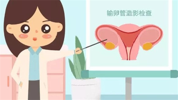 广州助孕单身，【广州试管婴儿】广州做试管婴儿费用、流程 