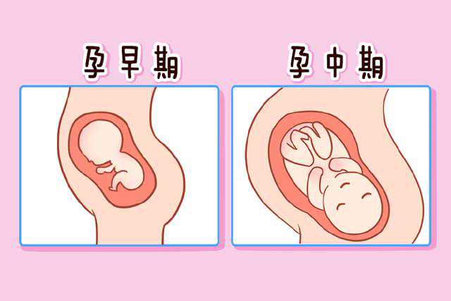 北京哪个医院可以做借卵试管婴儿的医院