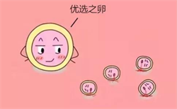广州供卵试管费用是多少钱，哪些饮料不适合孕妇？