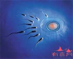 广州代生包生孩子，为什么在试管婴儿周期注射黄体酮？