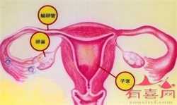 在武汉同济医院生殖科申请供卵助孕大概要排队多久？