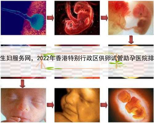 代孕母亲和孩子的关系，香港代生妇服务网，2022年香港特别行政区供卵试管助