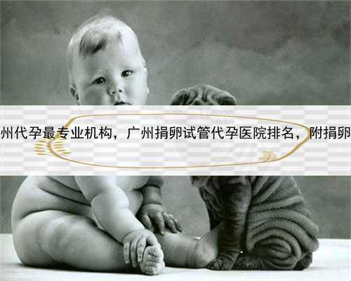 代孕女报价，广州代孕最专业机构，广州捐卵试管代孕医院排名，附捐卵试管费