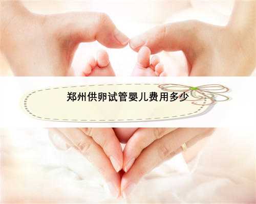 郑州供卵试管婴儿费用多少