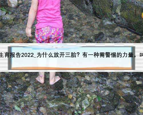 中国生育报告2022_为什么放开三胎？有一种需警惕的力量，叫惯性